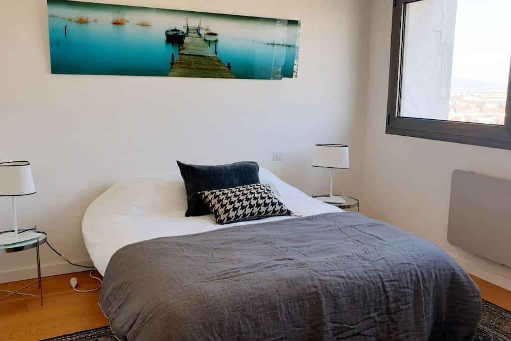 Le Solavue 150 M2 Vue Exceptionnelle Sur Le * Annecy