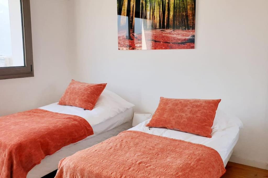 Le Solavue 150 M2 Vue Exceptionnelle Sur Le * Annecy